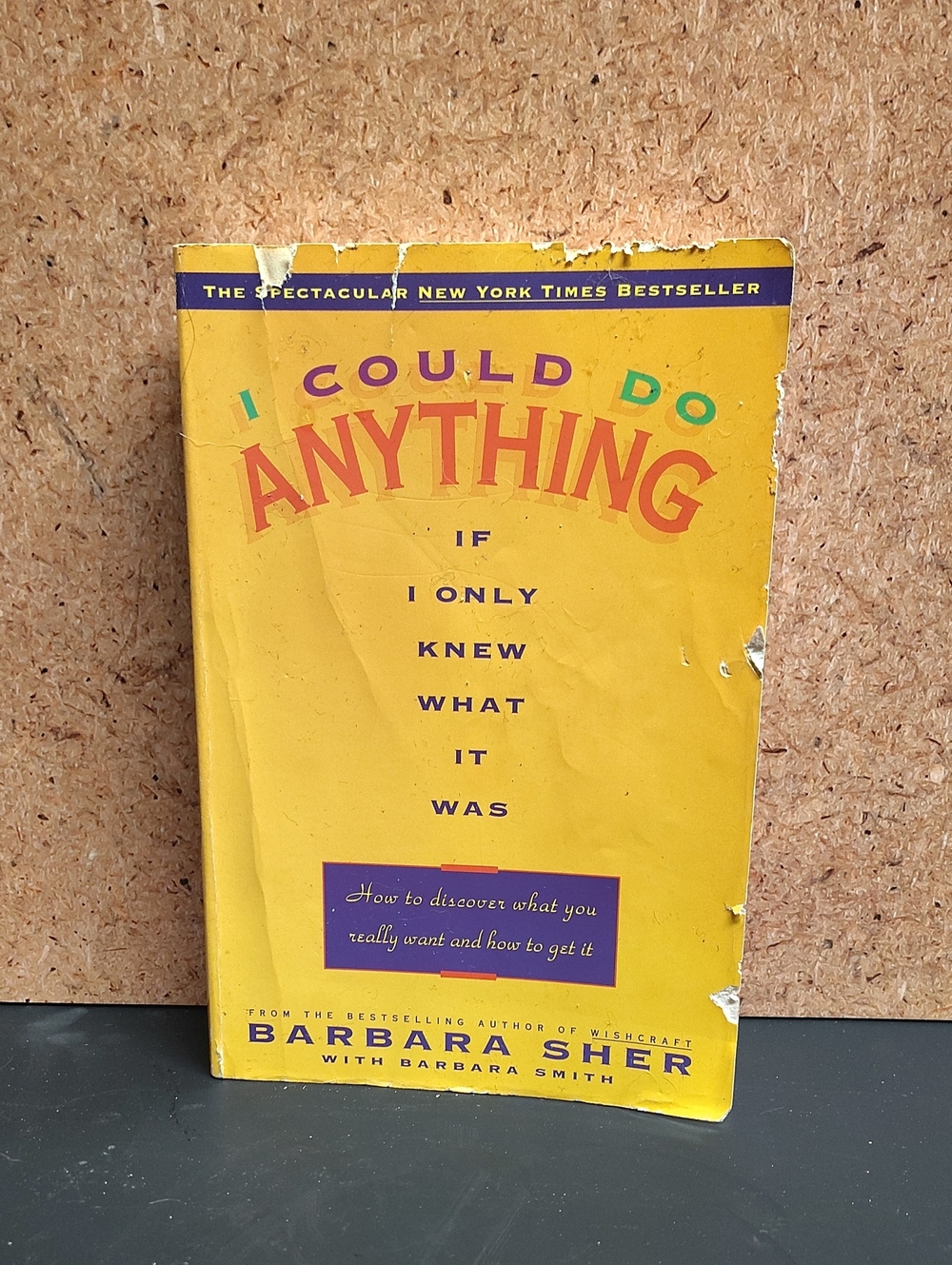 I Could Do Anything by Barbara Sher - Yellow Paperback